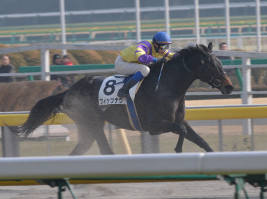 2011/02/06 東京08R