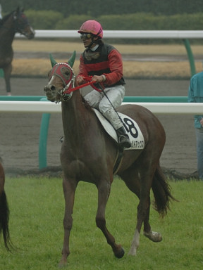 2007/03/25 R05R