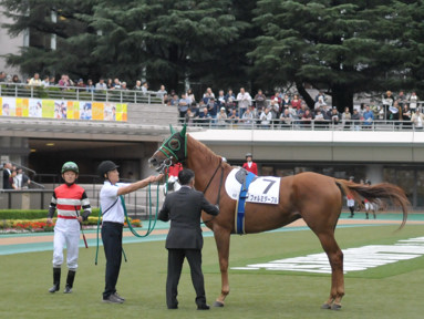 2019/10/19 東京06R