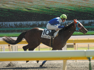 2009/02/01 東京06R