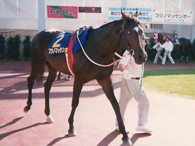 1996/08/13 盛岡10R