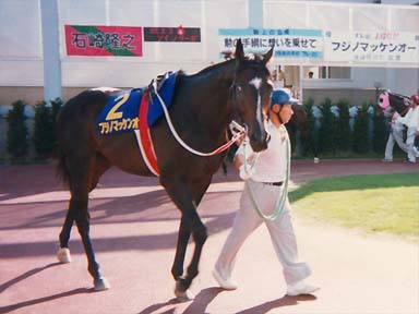 1996/08/13 盛岡10R