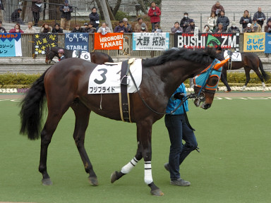 2008/02/17 東京06R