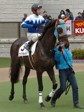 2008/02/17 東京06R