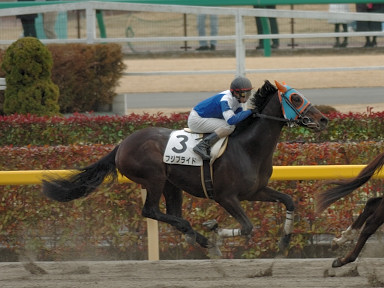 2008/02/17 東京06R