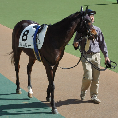 2007/02/04 06R