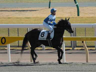 2007/02/04 06R