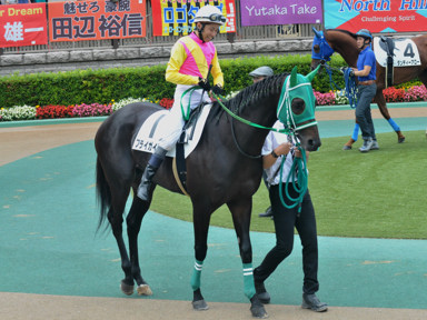 2016/06/05 東京08R