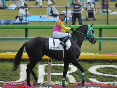2016/06/05 東京08R