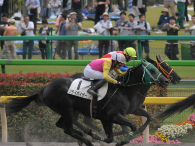 2016/06/05 東京08R