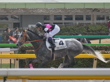 2016/02/13 “Œ‹07R