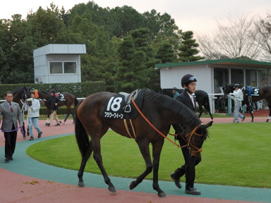 2006/12/02 ����12R