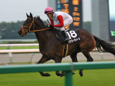 2006/12/02 ����12R