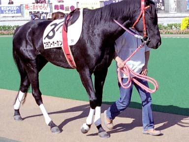 2003/11/16 東京05R