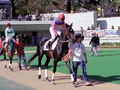 2003/11/16 東京05R