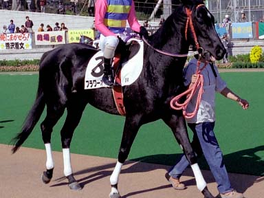 2003/11/16 東京05R