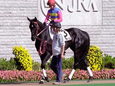 2003/11/16 東京05R