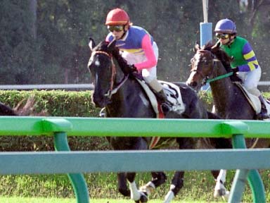 2003/11/16 東京05R