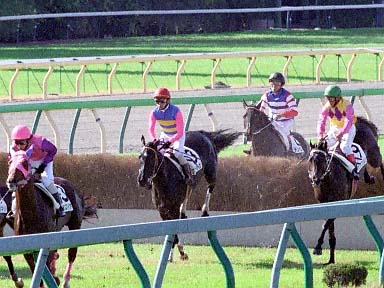 2003/11/16 東京05R