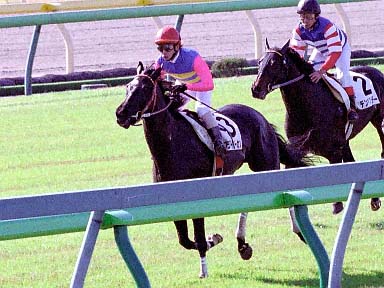 2003/11/16 東京05R