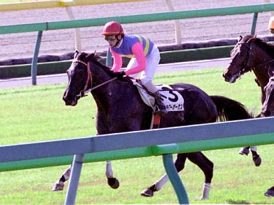 2003/11/16 東京05R