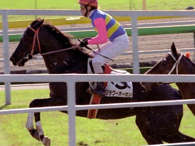 2003/11/16 東京05R