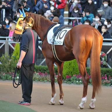 2023/01/09 中山12R
