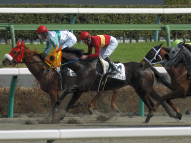 2010/03/13 中山08R