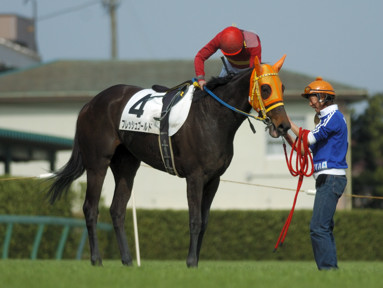 2010/03/13 中山08R