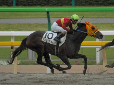 2010/04/24 東京07R