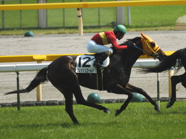 2010/05/16 東京08R