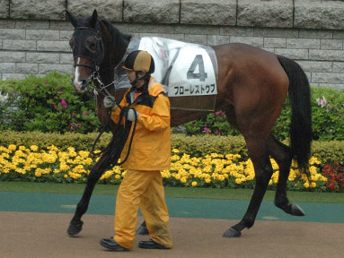2007/04/28 東京12R