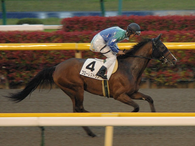 2007/04/28 東京12R