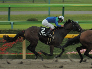 2007/10/08 東京09R