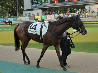 2007/10/20 東京12R