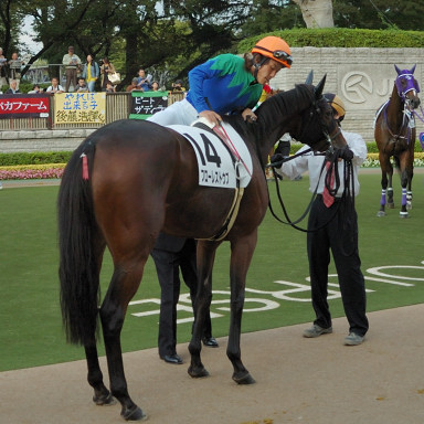 2007/10/20 東京12R