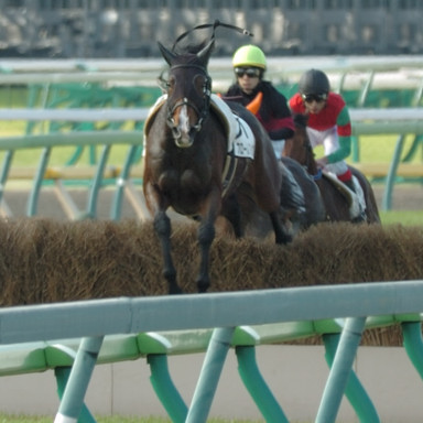2008/11/29 東京04R
