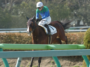 2009/02/21 東京04R