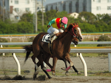 2006/05/05 ‘D‹´09R