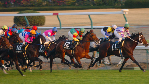 2004/12/11 中京12R