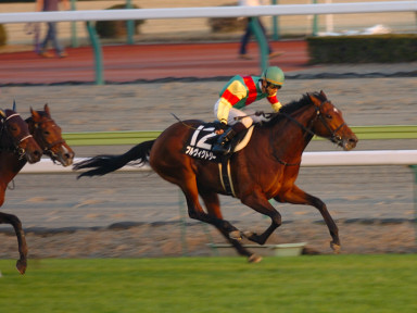 2004/12/11 中京12R