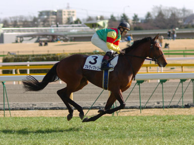 2005/02/06 東京08R