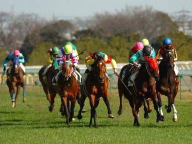 2005/02/06 東京08R