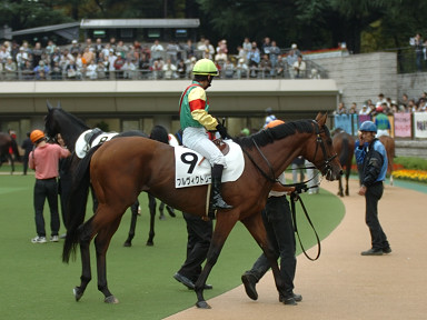 2005/10/16 東京08R