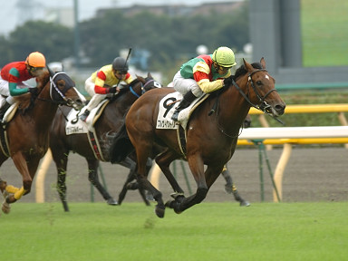 2005/10/16 東京08R