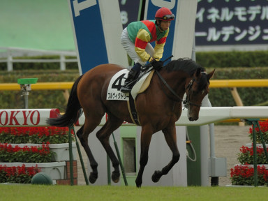 2007/10/14 東京08R
