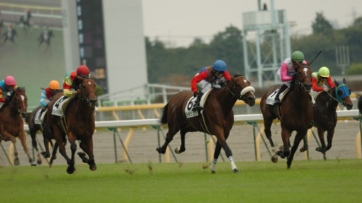 2007/10/14 東京08R