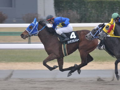 2011/01/15 中山09R