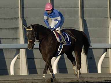 2003/12/09 宇都宮09R