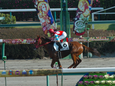 2004/12/25 R07R